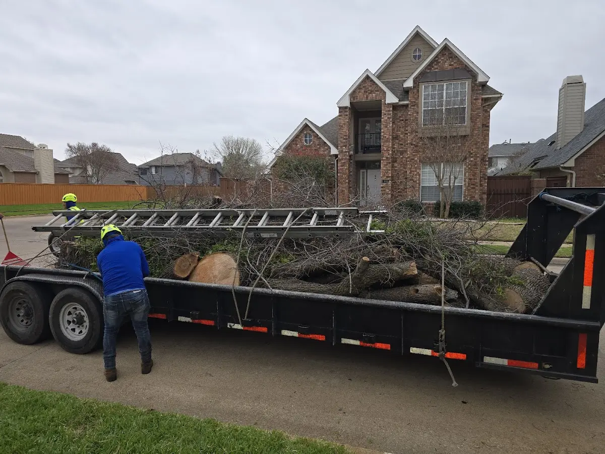 Expert Crown Reduction with proper safety equipment in Sheboygan